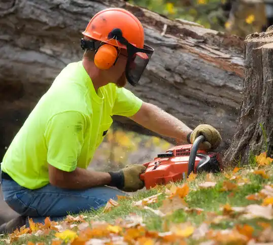 tree services Spindale